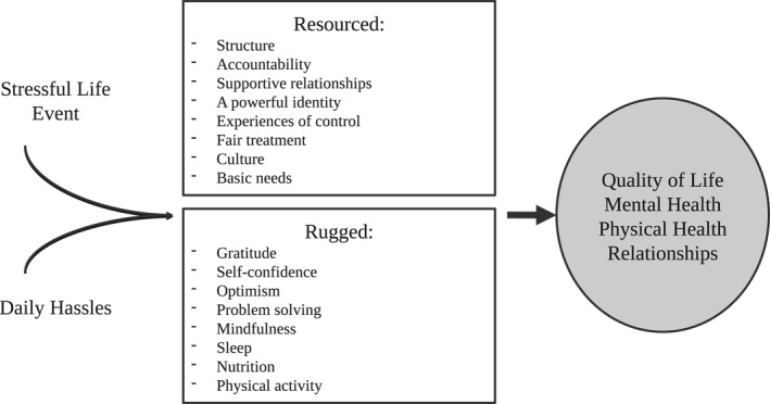 FIGURE 1