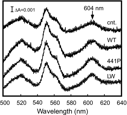 Fig. 4.