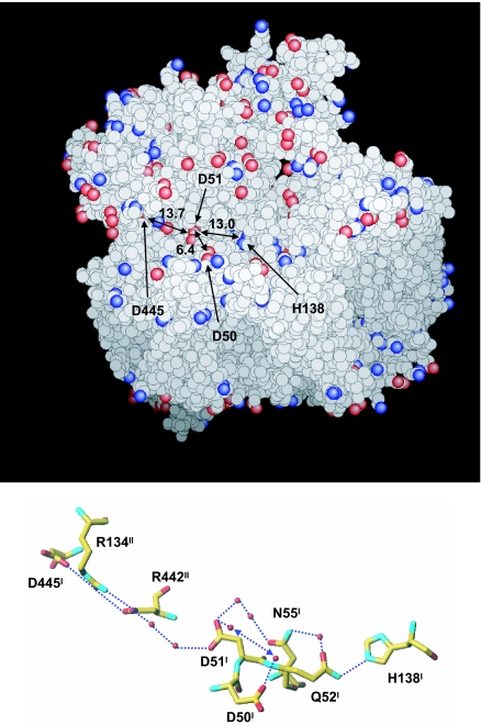 Fig. 6.