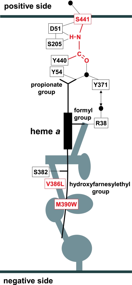 Fig. 1.