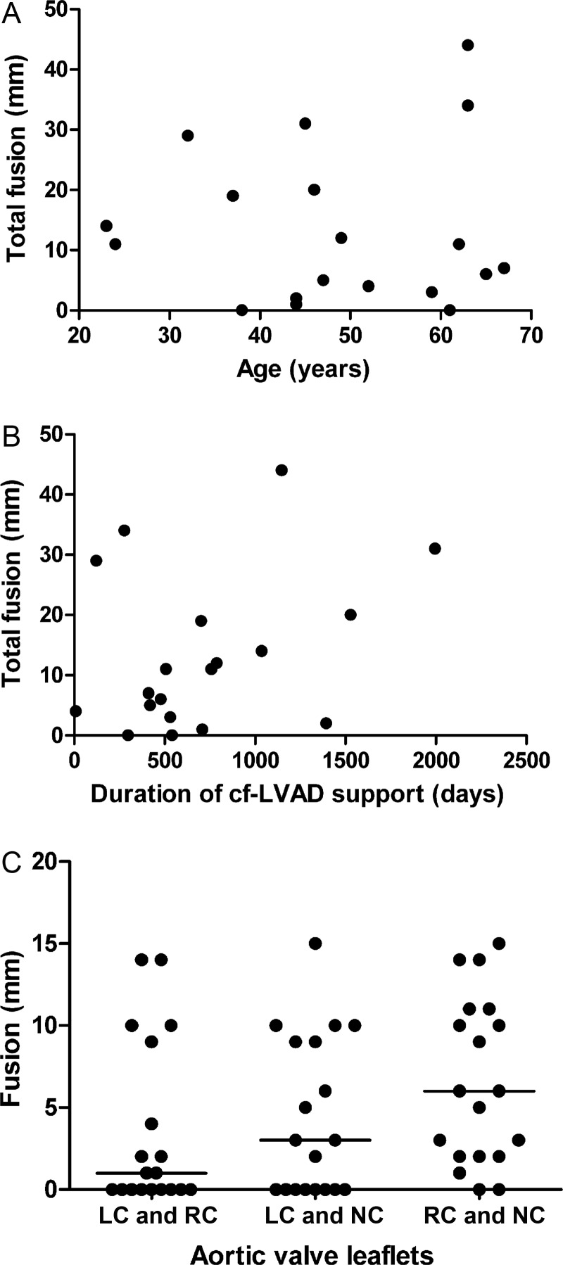 Figure 4: