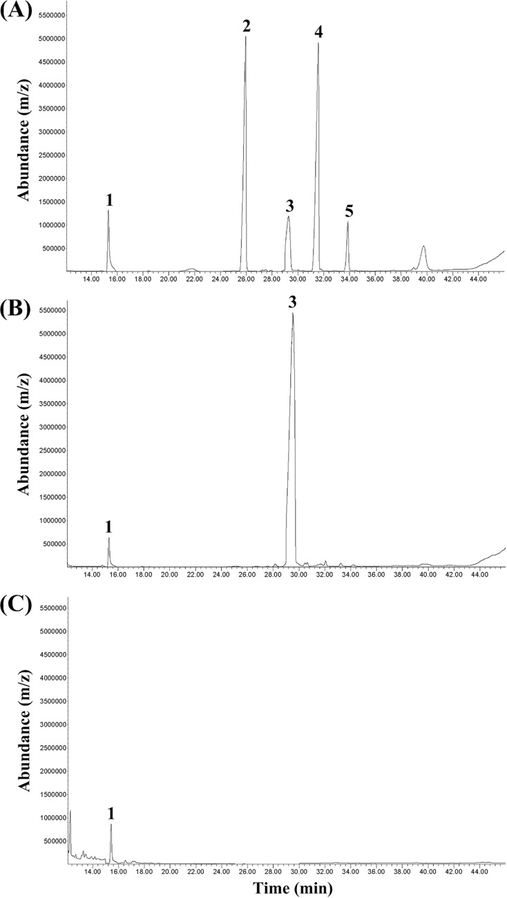 FIG 2