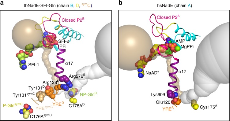 Fig. 6