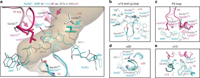 Fig. 8