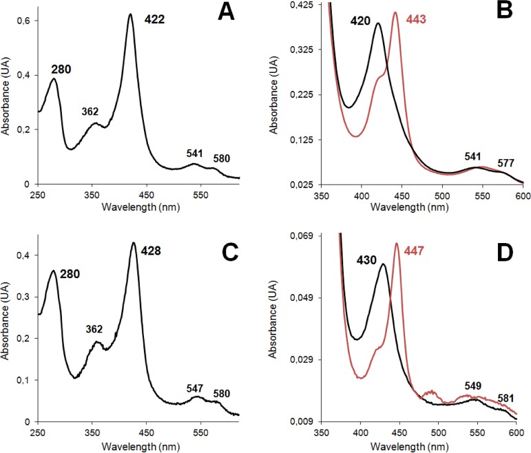 FIG 3