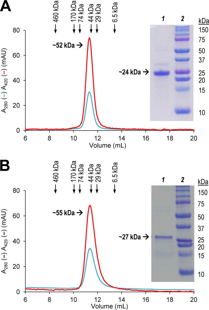 FIG 2