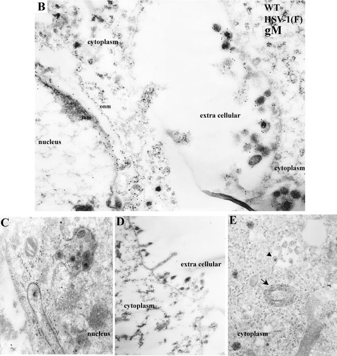 FIG.6.