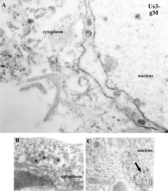 FIG. 7.