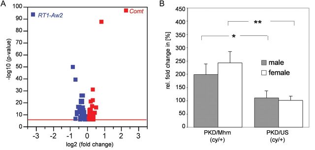 FIGURE 2: