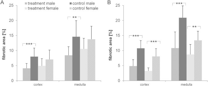 FIGURE 6: