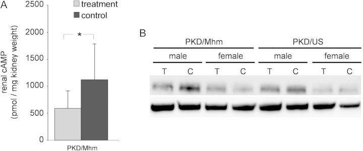 FIGURE 7: