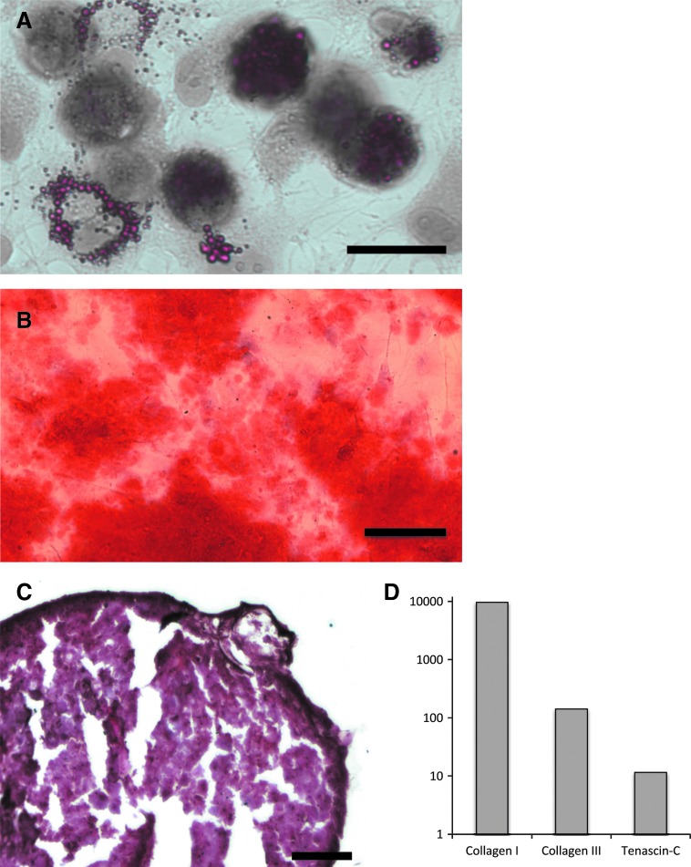 FIG. 2.