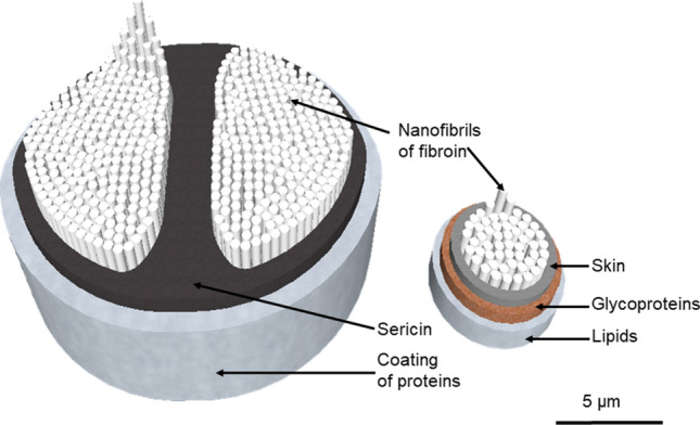 Fig. 2