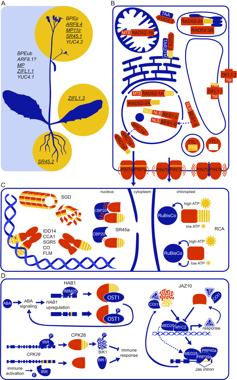 Fig. 2.