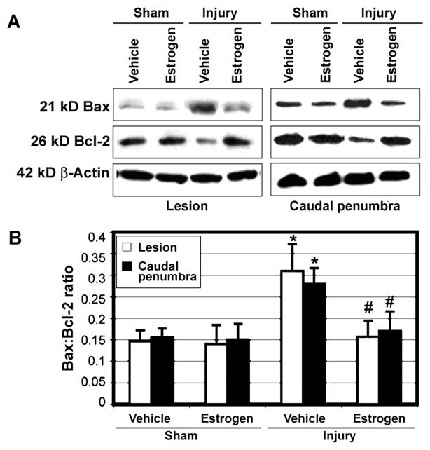 Fig. 9