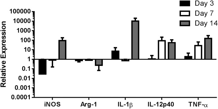 Figure 5.