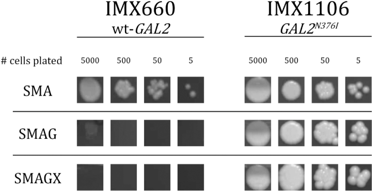 Figure 5.