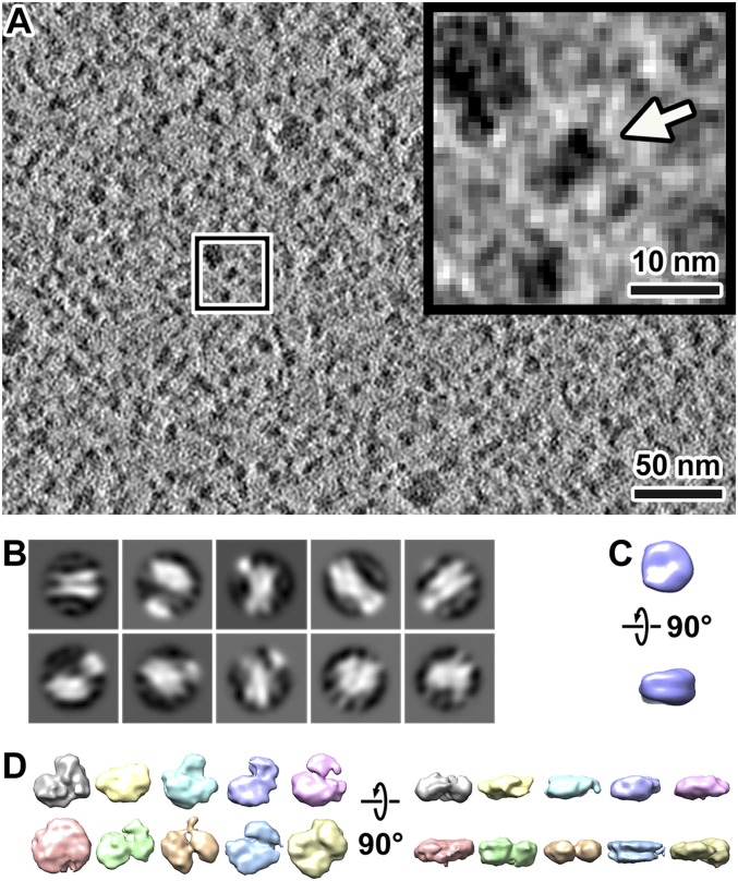 Fig. 3.