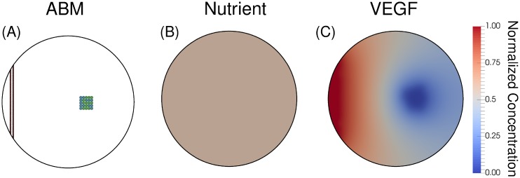 Fig 8