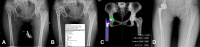 Fig. 10