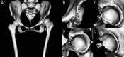 Fig. 3