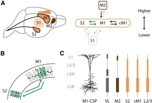 Figure 11.