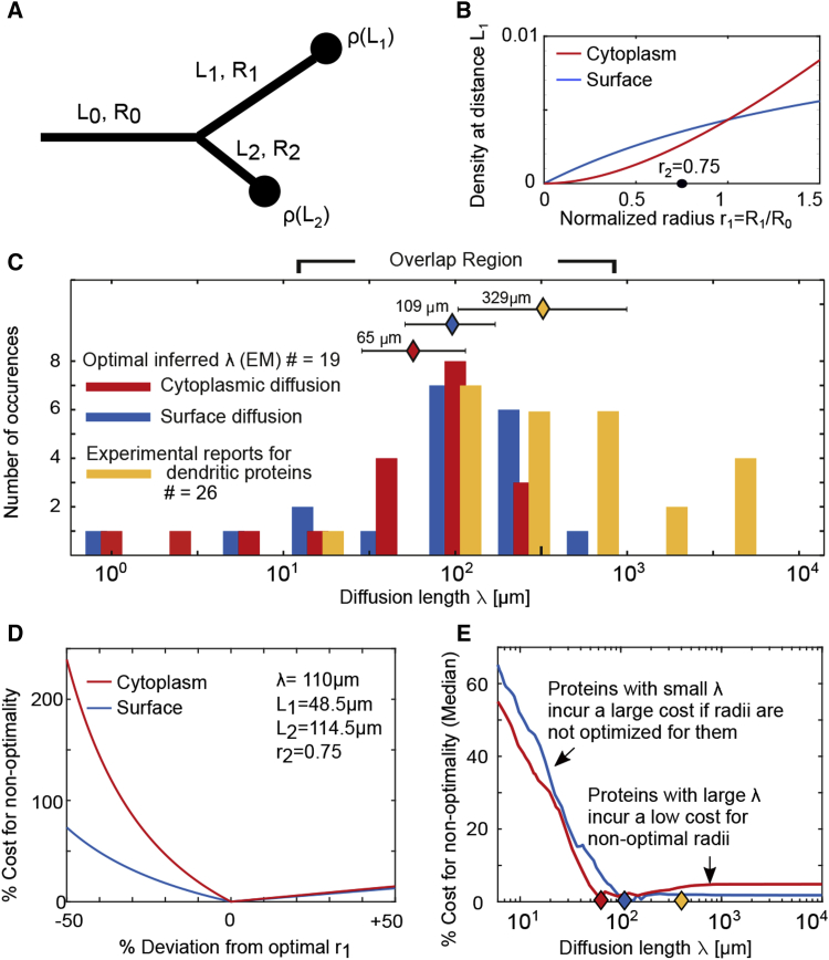 Figure 5