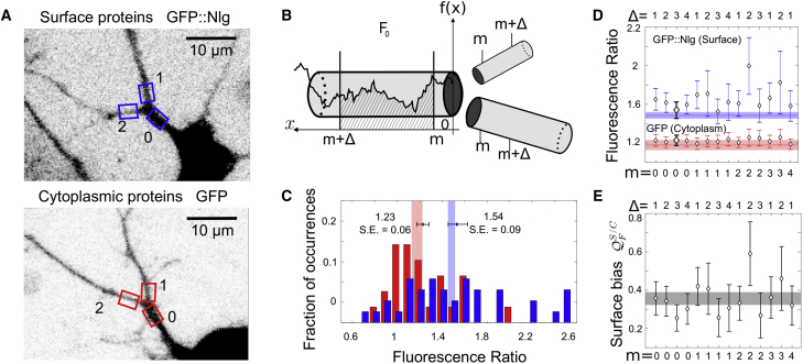 Figure 4