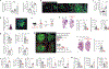 Fig. 4 |