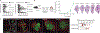 Fig. 2 |