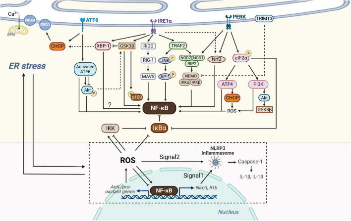 FIGURE 3