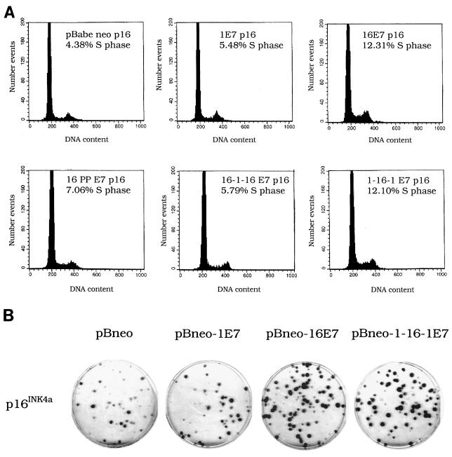 FIG. 7