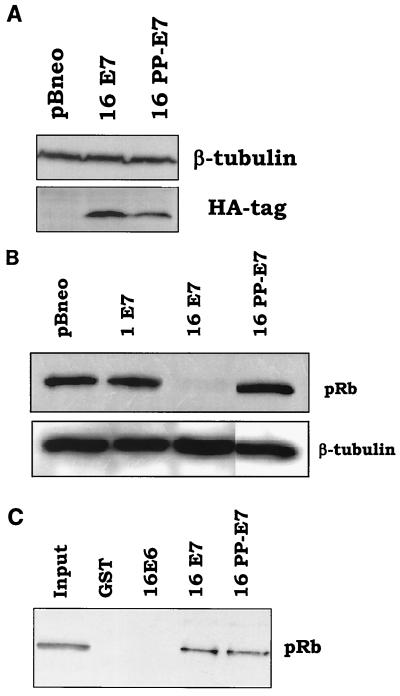 FIG. 6