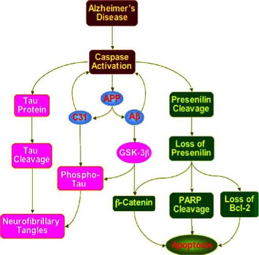 Fig. (2)