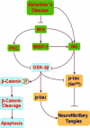 Fig. (1)