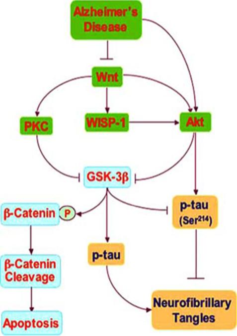 Fig. (1)