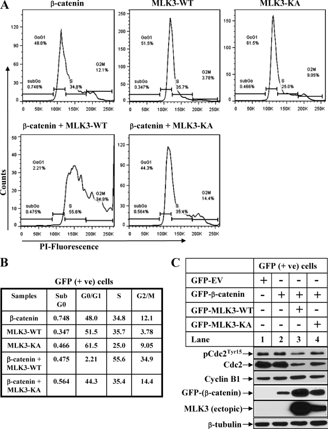 FIGURE 9.