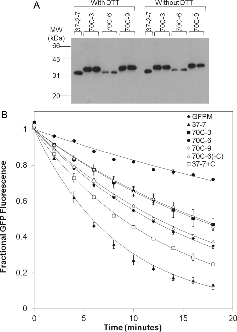 Fig. 3.