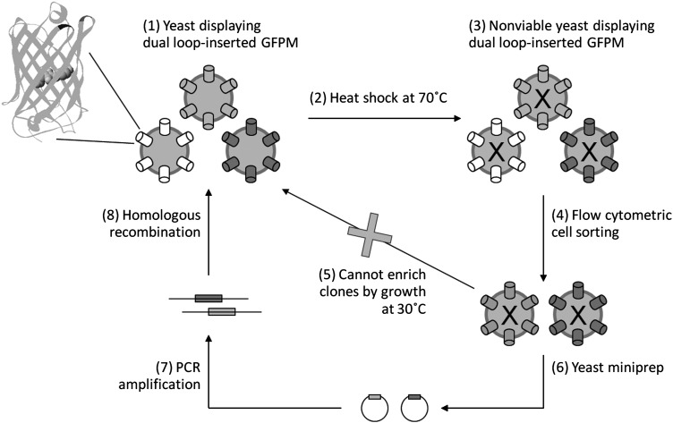 Fig. 1.