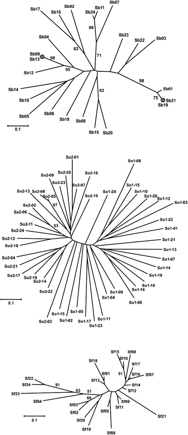 Figure 2.