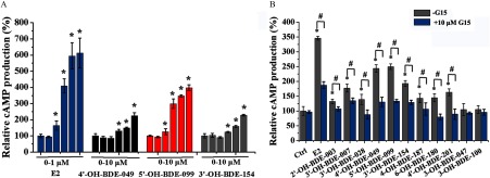 Figure 4A is a bar graph plotting the percentage of relative c A M P production (y-axis) across concentrations of E2 in 0 to 1 micromolar, and 4 prime OH BDE 049, 5 prime OH BDE 099, and 3 prime OH BDE 154 (x-axis), all measured in 0 to 10 micromolar. Figure 4B is a bar graph plotting the percentage of relative c A M P production (y-axis) across the control group, E2, and 11 OH BDEs (x-axis) in the presence of 10 micromolar G15 and in the absence of G15.