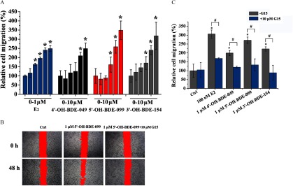Figure 5A is a bar graph plotting the percentage of relative cell migration (y-axis) across concentrations of E2 in 0 to 1 micromolar, and 4 prime OH BDE 049, 5 prime OH BDE 099, and 3 prime OH BDE 154 (x-axis), all measured in 0 to 10 micromolar. Figure 5B presents micrographs of the wound-healing assay for the control group, 1 micromolar 5 prime OH BDE 099 and 1 micromolar 5 prime OH BDE 099 plus 10 micromolar G25 for 0 and 48 hours. Figure 5C is a bar graph plotting the percentage of relative cell migration (y-axis) across control group, 100 nanomolar E2, 1 micromolar 4 prime OH BDE 049, 1 micromolar 5 prime OH BDE 099, and 1 micromolar 3 prime OH BDE 154 (x-axis) in the presence of 10 micromolar G15 and in the absence of G15.