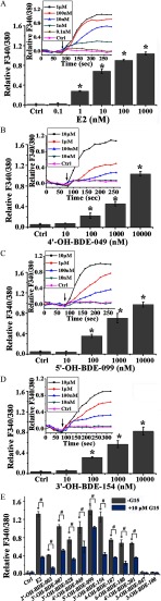 Figures 3A, 3B, 3C, and 3D are bar graphs plotting the change in F340/380 (y-axis) across E2, 4 prime OH BDE 049, 5 prime OH BDE 099, and 3 prime OH BDE 154, respectively, (x-axis) measured in control group, 0.1, 1, 10, 100, and 1000 nanomolar for E2, and measured in control group, 10, 100, 1000 and 10000 nanomolar for 4 prime OH BDE 049, 5 prime OH BDE 099, and 3 prime OH BDE 154. Inset each figure subpart are line graphs plotting the same across time in seconds. Figure 3E is a bar graph plotting the relative value of F340/380 (y-axis) across control group, E2, and 11 OH BDEs (x-axis) in the presence of 10 micromolar G15 and in the absence of G15.