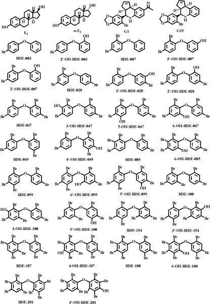 Compound structures of E sub 2, α-E sub 2, G1, G15, PBDEs and OH-PBDEs.