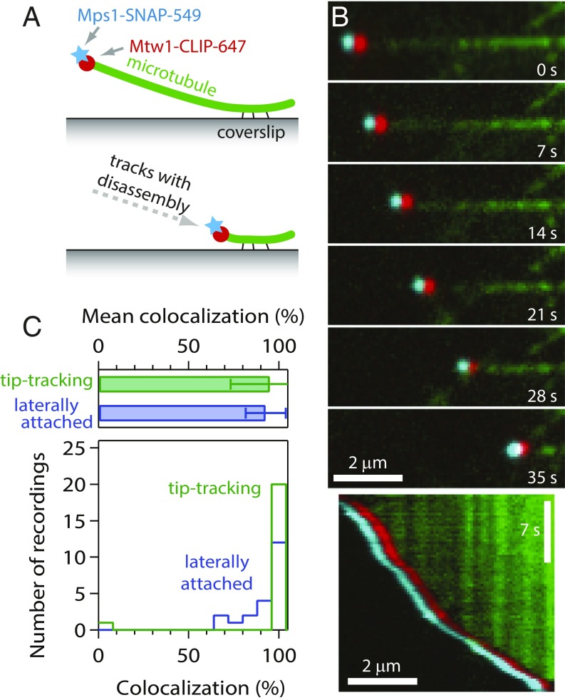 Fig. 3.