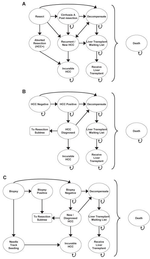 Figure 1)