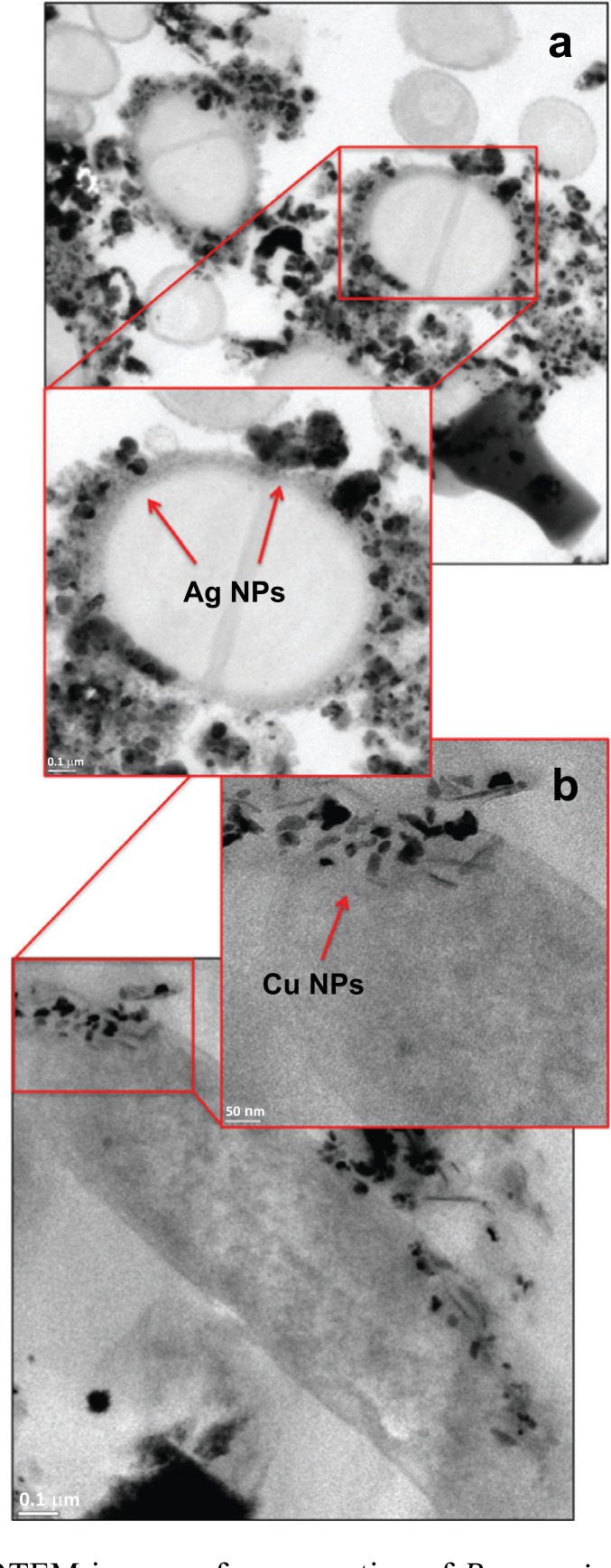 Fig. (4)