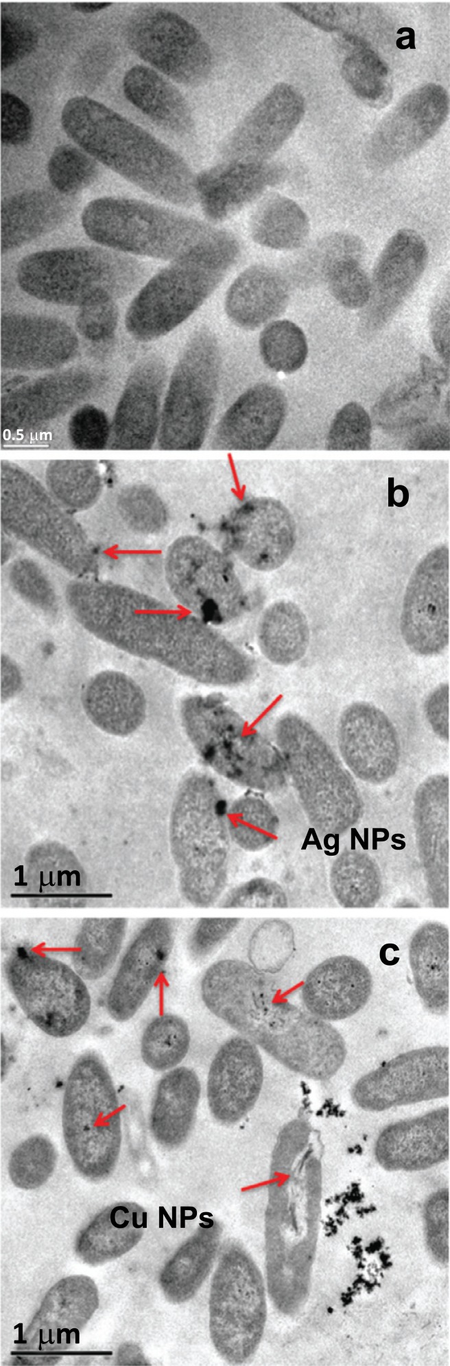 Fig. (3)