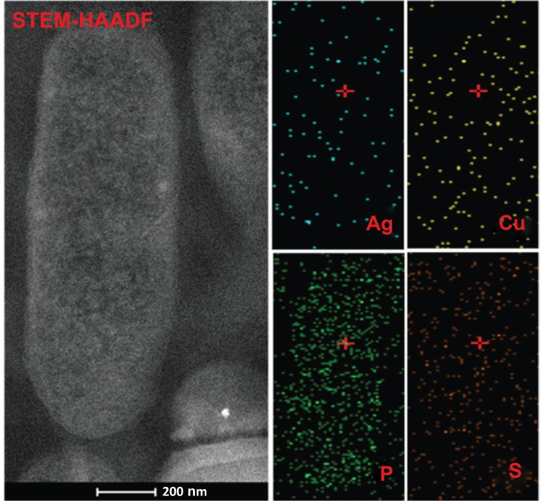 Fig. (5)