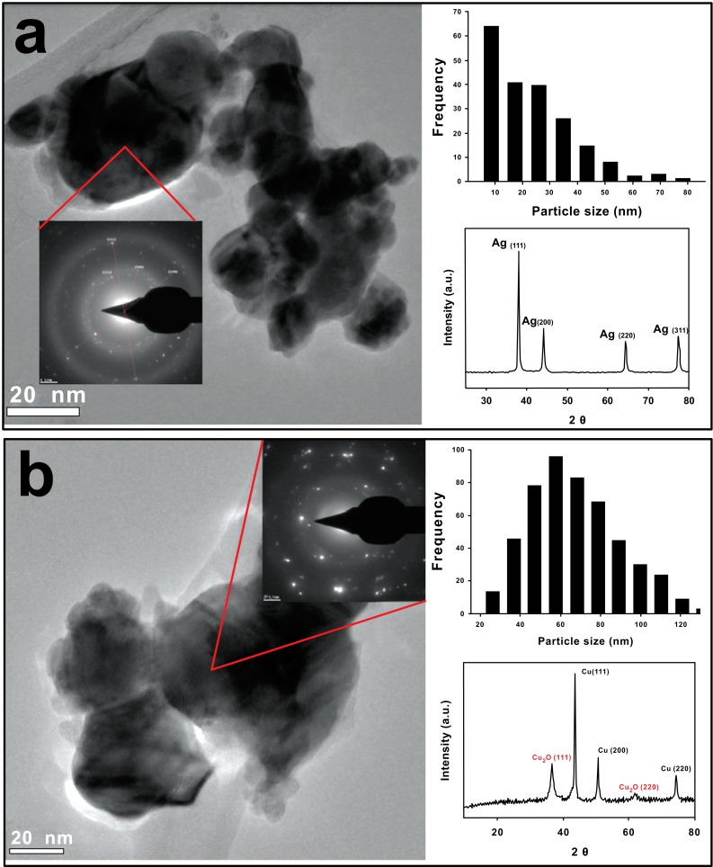 Fig. (1)